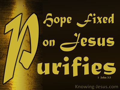1 John 3:3 Hope Fixed on Him Purifies As He Is Pure (brown)